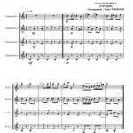 Un moment musical (ensemble de clarinettes)