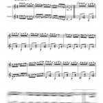 Temptation rag (duo de guitares)