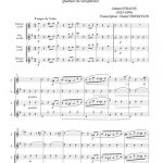 Voix du printemps (quatuor de saxophones)
