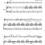 40° à l'ombre (flûte et piano)