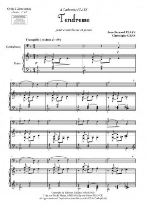 Tendresse (contrebasse et piano)