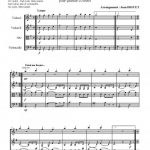 Prête-moi ta plume (quatuor à cordes)