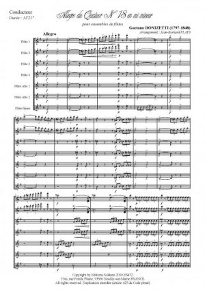 Allegro du quatuor n°18 en mi mineur (ensemble de flûtes)