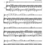 Bleu indigo (saxophone alto et piano)