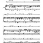 Bleu indigo (basson et piano)