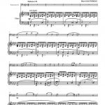 Bleu indigo (euphonium baryton et piano)