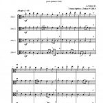 Deux chorals (quatuor d'alti)