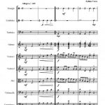 Bal à Clouje (ensemble instrumental)