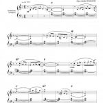 Boogie woogie star (clavier arrangeur)