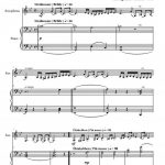 A Rakoczi nota (sax alto et piano)