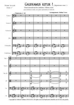 Gaudeamus igitur (orchestre à cordes)