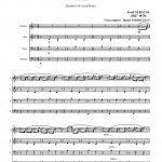 Die libelle (quatuor de saxophones)