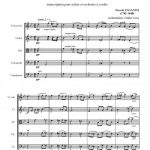 6ème caprice (soliste et orchestre à cordes)