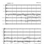 7 chez les Rom (ensemble de cordes solistes)