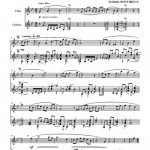 Lueur d'espoir (flûte et guitare)