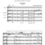 Le miroir invisible (guitare et orchestre en clé de sol)