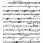 Osmose (flûte et clarinette)