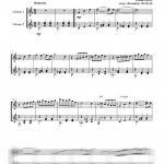 Valse des fleurs (duo de guitares)