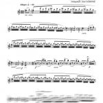 Caprices 13 à 15 (flûte à bec alto ou flûte traversière)