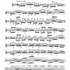 Caprices 16 à 18 (flûte à bec alto ou flûte traversière)