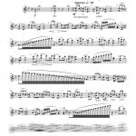 Caprices 19 à 21 (flûte à bec alto ou flûte traversière)