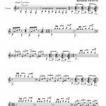 Aire del Sur (guitare)