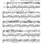 Menuet de L'Arlésienne (flûte et guitare)
