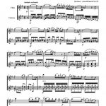 Sérénade opus 109 n°2 (flûte ou violon et guitare)