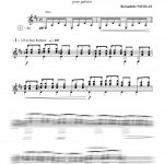 Brésilienne (guitare)