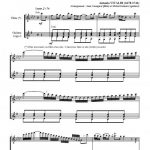 Aria "Sol da te, mio dolce amore" (flûte et guitare)