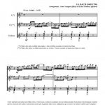 Concert en trio - VOLUME 1 (deux flûtes et guitare)