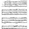 6 trios - VOLUME3 (pour flûte, hautbois et basson ou violoncelle)