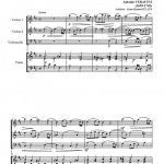 Sonate en si mineur (trio de cordes et piano)