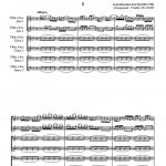Concerto Brandebourgeois n°6 (sextuor de flûtes à bec)