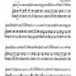 Irlandaise (flûte et piano)