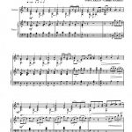 Flâner dans les bois (guitare et piano)