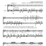 Aria "Vedro con mio diletto" (chant ou flûte et guitare)