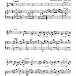 Soleil d'automne (clarinette et piano)