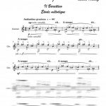 Nine Fancy Studies (guitare)