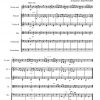 Danse slave n°7 opus 42 (violon solo et orchestre à cordes)
