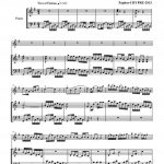 Festejo (flûte et piano)