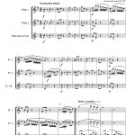 Adela (trio de flûtes)