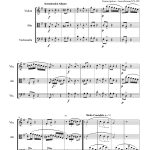 Adela (trio à cordes)