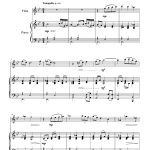 Ballade en Camargue (flûte et piano)