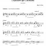 Chanson des Caraïbes (guitare)