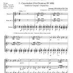 Concert en trio -VOLUME 3 (deux flûtes -ou flûtes à bec- et guitare)