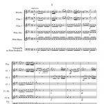 Concerto pour harpe et orchestre (harpe et ensemble de flûtes)