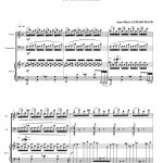 Dernière danse (violon,violoncelle et piano)