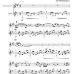 Voyage en Transylvanie (clarinette en sib et guitare)