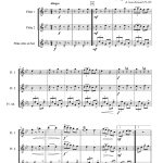 El gato (trio de flûtes)
